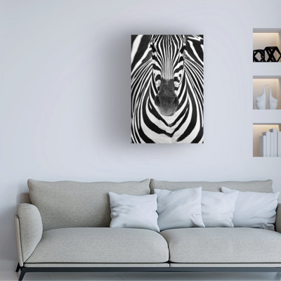" Zebra "