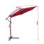 Dulcie Cantilever Parasol-398379951-398370526