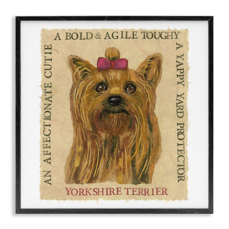 «Yorkshire Terrier» amusant par estampe numérique par Nancy Overton, Giclée encadrée noir minuit, H 17 po x l 17 po