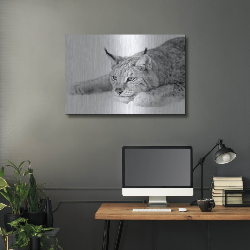 «Lynx 1» par PhotoINC Studio, H 24 po x l 36 po