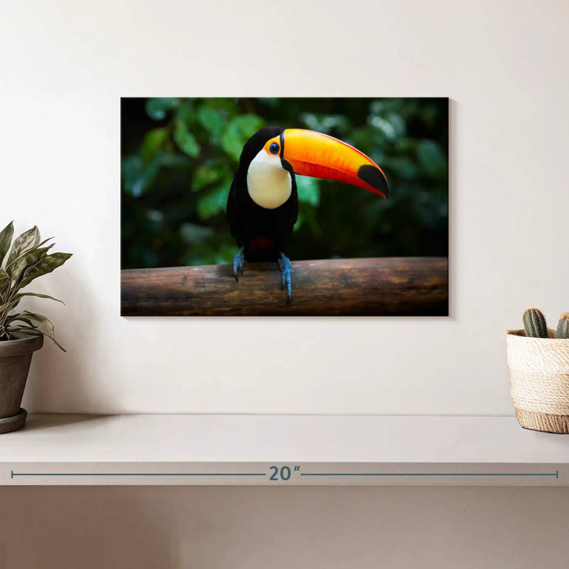 Toucan brésilien Brampt, H 8 po x l 12 po
