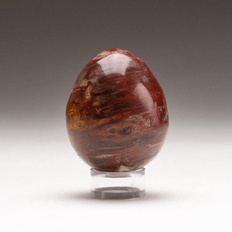 Petrified Wood Egg, 2" H x 1.75" W x 1.75" D, Orange/Yellow/Brown