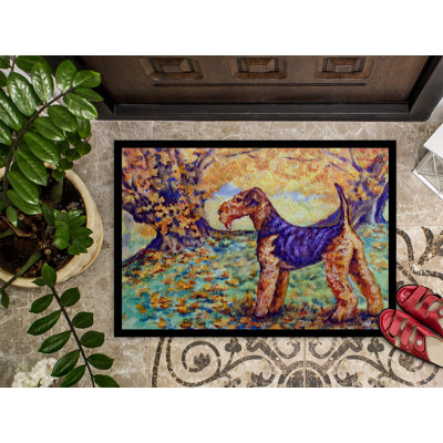 Non-Slip Outdoor Doormat