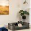 Canapé-lit pour chien durable-121424592