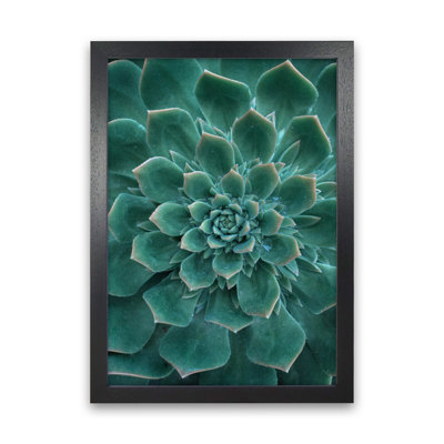 Green Succulent Plant 1 Piece Wall Art