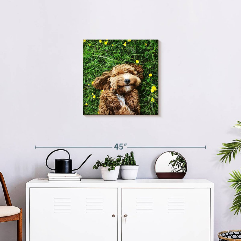 Crowle Happy Cockapoo Dog, 20" H x 20" W