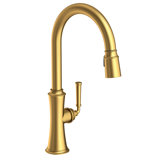 Stripling Single Handle Pull Down Kitchen Faucet