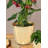 Dawoud Metal Cachepot-2118800196-2118800198