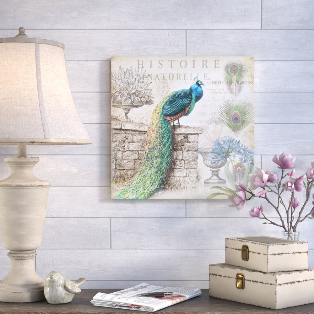 " Vintage Peacock II " by Tre Sorelle Studios Ophelia & Co. 