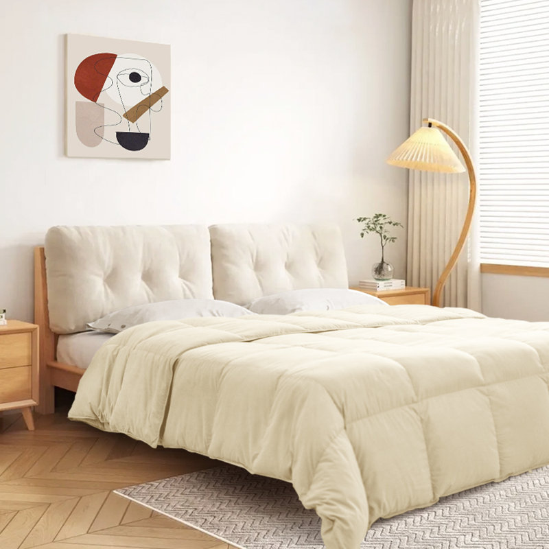 Édredon en duvet d'hiver 600FP Kapok, Grand lit, Crème, crème