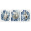 Trio de coquillages et corail, ensemble de 3 giclées encadrées par Caroline Kelly
