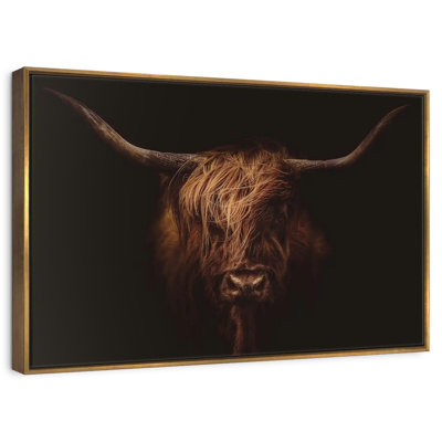 Belle vache Highland