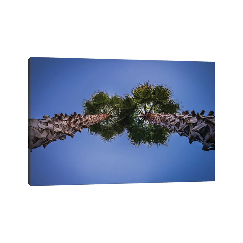 Pine Cones on the Tree 1 Piece Wrapped Canvas Wall Art, 30.48cm H x 45.72cm W x 1.905cm D