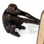 Mischievous Monkeys Bookends
