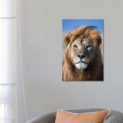 Lion Goldenmane by Mogens Trolle - Wrapped Canvas Print