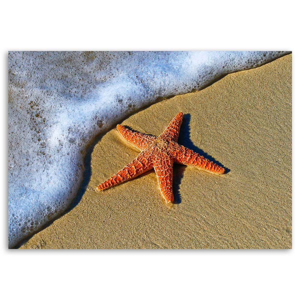 Leinwandbild Starfish Beach Sand