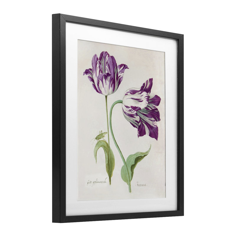 Deux tulipes à fleurs mauves, reproduction sous verre, design par Jacob Marell, H 16 po x l 13 po, Cadre noir minuit