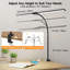 Metal Desk Lamp