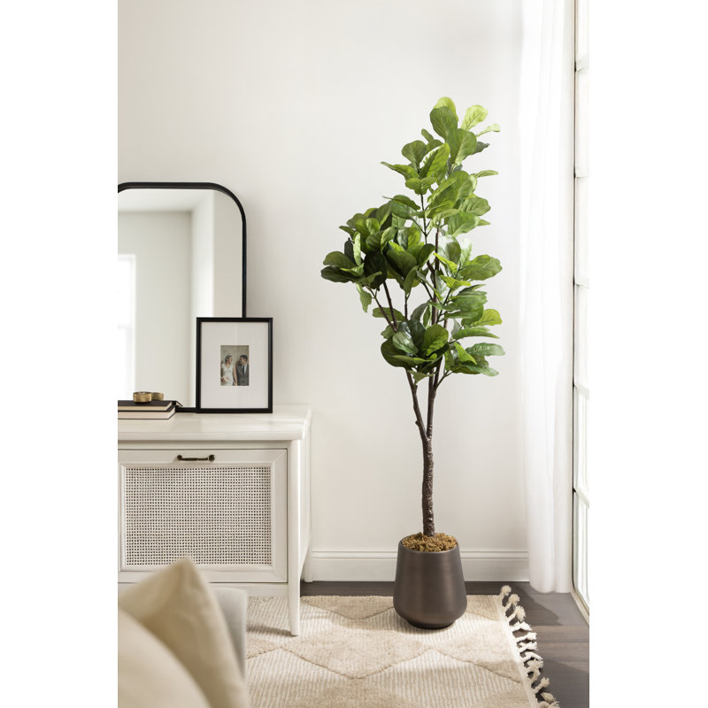 Figuier en figuier avec pot Portell, Argent argent, H 70,87 po x l 19,69 po x P 27,56 po