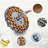 Asterios Ceiling Fan with LED Lights