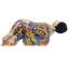 Appistoki Religious & Spiritual Figurines & Sculptures