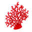 Decorative Coral-868852132