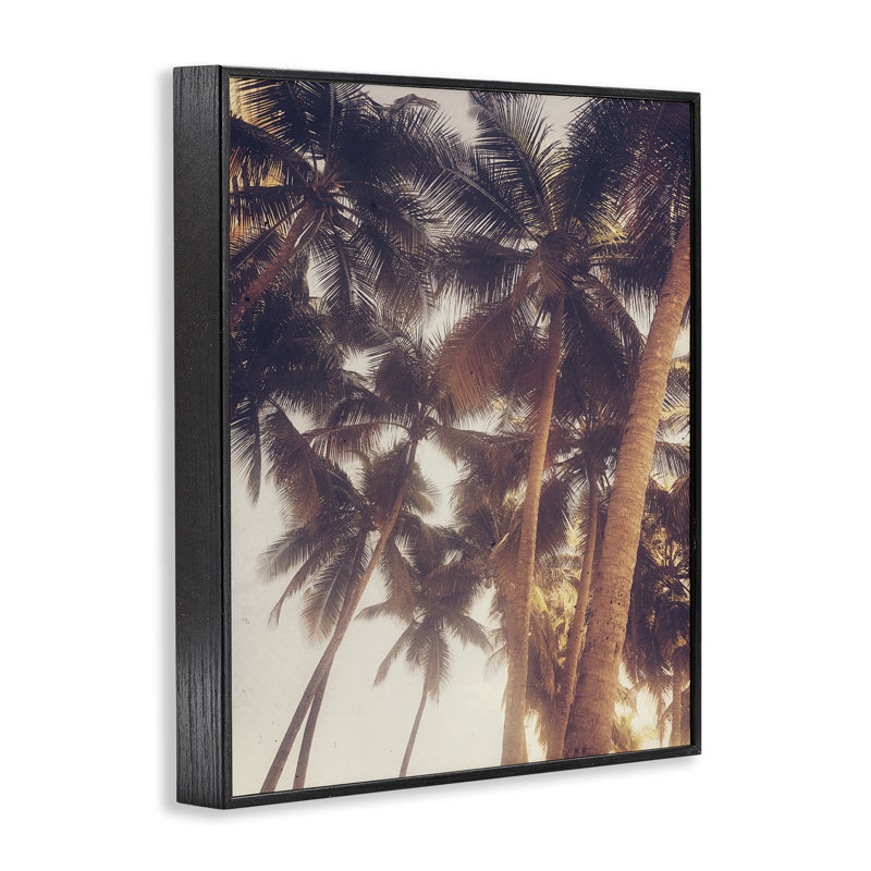 «Sunlit Palm Tree», estampe numérique encadrée par Acosta bf-019, H 14 po x l 11 po, Giclée encadrée noir minuit