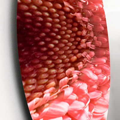 Plants & Flowers Wall Decor on Metal