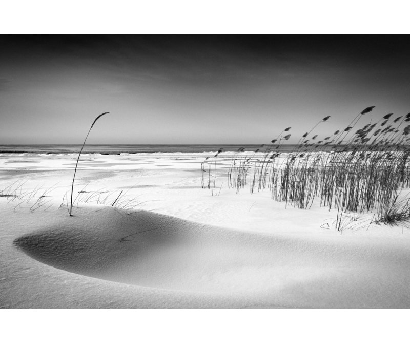 Wrapped Canvas Print, 76.2 cm H x 50.8 cm W