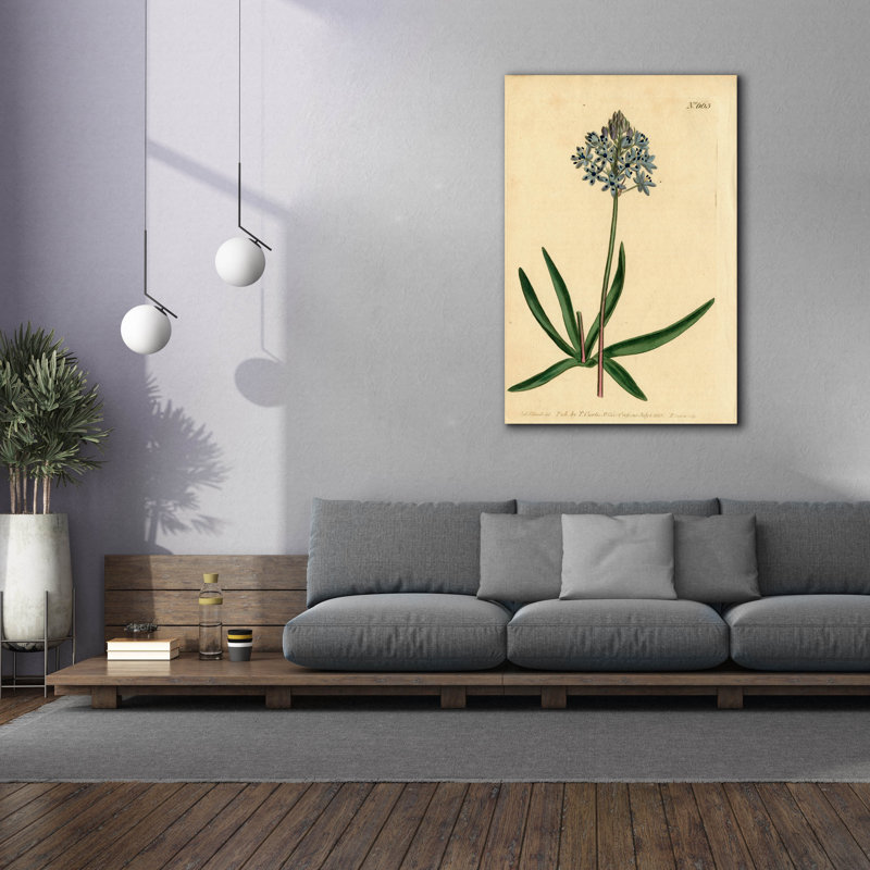 Toile épique «Italian Squill» par Art Licensing Studio, Epic Graffiti, 40 po x 60 po
