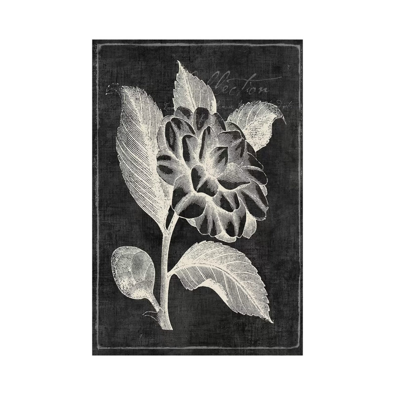 Black Botanical II by PI Galerie - Wrapped Canvas Panoramic Painting, 30.48 cm H x 45.72 cm W