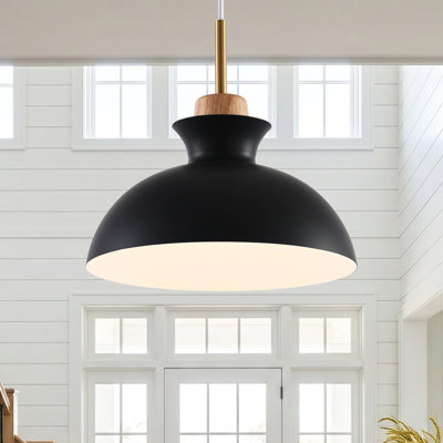 1 - Light Single Pendant