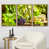 Cadre naturel flottant