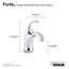 Forté Single-Handle Bathroom Sink Faucet with Drain Assembly and Escutcheon Plate, 1.2 GPM-627046258