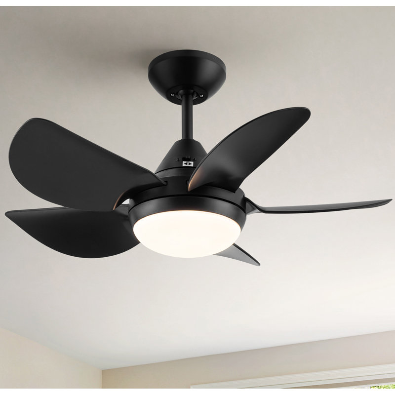 Small-CF 30''  5 - Blade LED Standard Ceiling Fan with Remote Control and Light Kit Included, Black