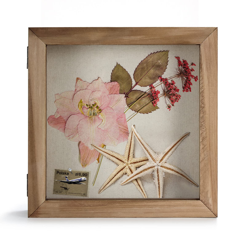 Shadow Box Frame 8 X 8 Shadowbox Display Case Picture Frame With Glass Window Door Memorabilia Wedding Bouquet Flowers Medals Military Photos Memory Box - Carbonized