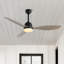 Clarra 52'' Ceiling Fan with LED Lights-2046170367