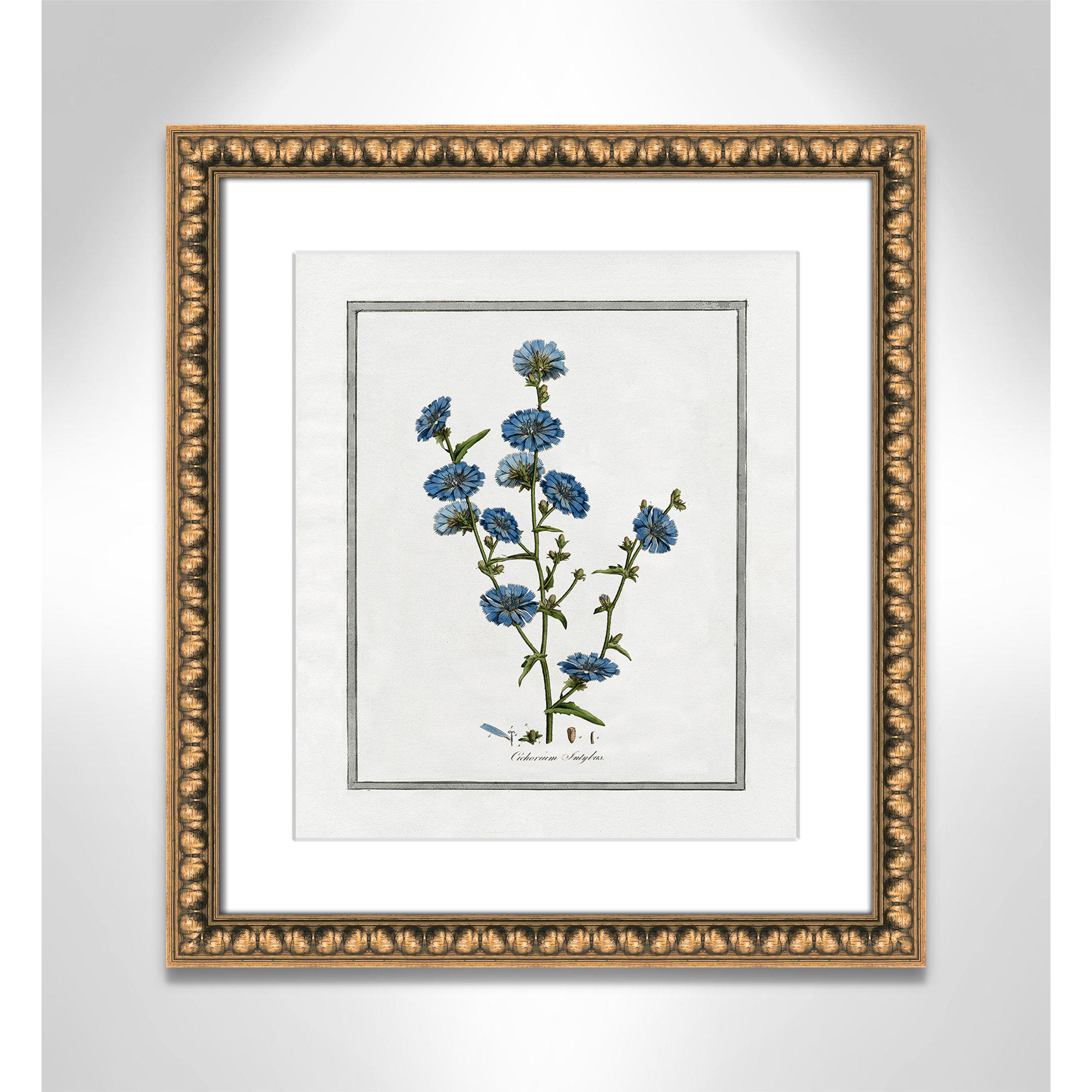 Soft Botanical I - Framed Art Full Bleed, Gold Bead Framed, 14" W x 16" H
