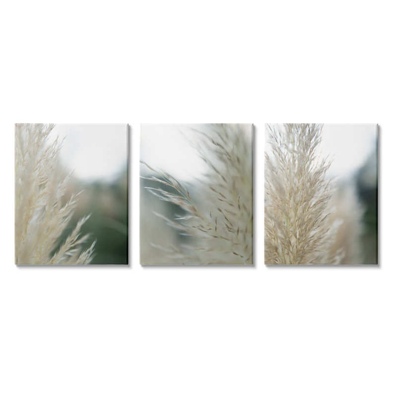 Breezy Pampas Tall Grass - ensemble de 3 photographies sur toile tendue, H 20 po x l 48 po x P 1,5 po