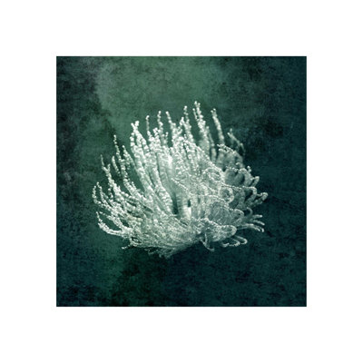 Marine Collection III Print by GI Lab