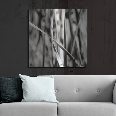 Latitude Run® 'Leaves BW 03' by Tom Quartermaine, Metal Wall Art,