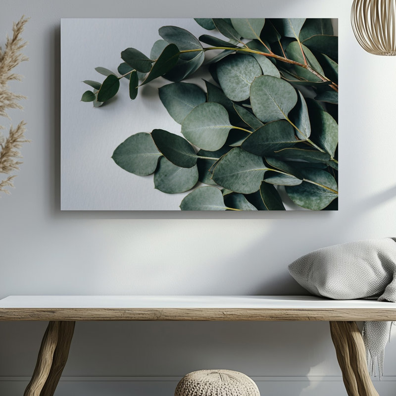 Toile, composition en gros plan de feuilles d'eucalyptus fraîches disposées avec art sur un fond blanc doux