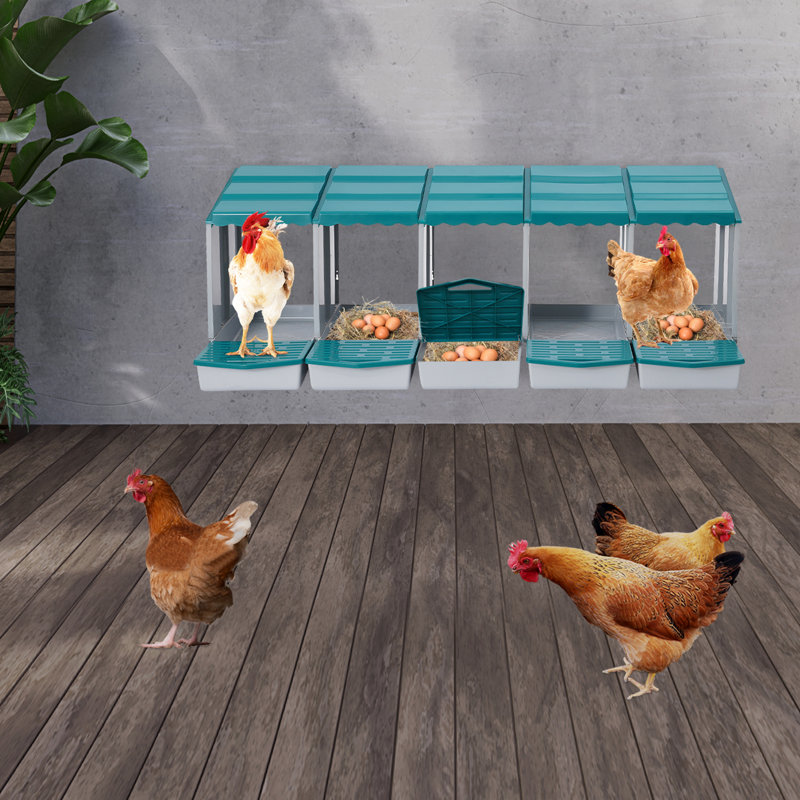 Boîte de nidification à 5 compartiments pour poulets, Sarcelle