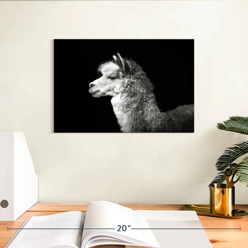 Brampt Noir Llama, 8" H x 12" W