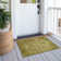 Washable Oriental Indoor / Outdoor Rug