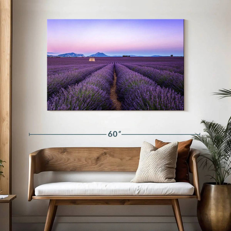 Champ de lavande d'Alvord en France