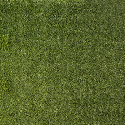 Verdant Vista Lushscape Green 6 ft x 8 ft Pre-Cut Rug 38 mm Pile Artificial Turf Indoor/Outdoor Pet Friendly