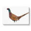 Pheasant Bird In Winter - Wrapped Canvas-56629639
