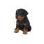 Statue chiot rottweiler assis