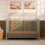 Winston 4-Conversion Steel Convertible Crib-123136687